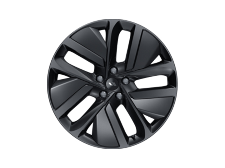 21" Black-Grey Wheels